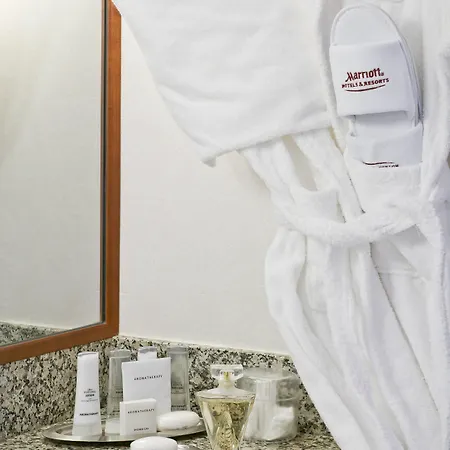 Paris Marriott Charles De Gaulle Airport Otel Roissy-en-France