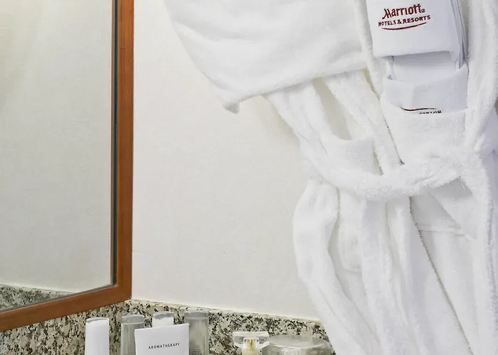 パリ マリオット シャルル ド ゴール エアポート ホテル ロワシー・アン・フランス